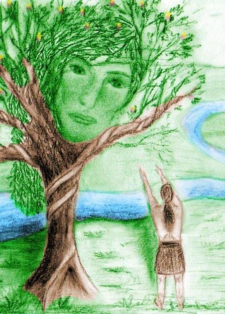 El origen de Un-Natem en la tradición Shuar: el cuento de Natem y su hermano